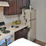 Canyon Creek Apartment Refrigerator
