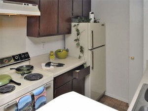 Canyon Creek Apartment Refrigerator