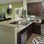 City North Apartment Kitchen