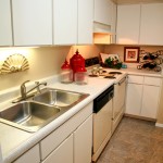 Fountains Apartment Kitchen