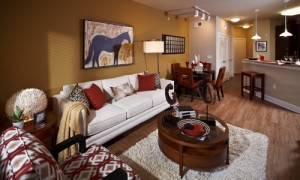 The District at Greenville Apartment Family Room