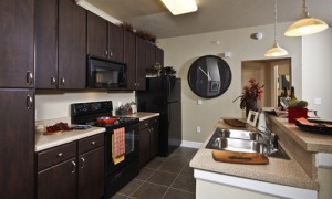 The District at Greenville Apartment Kitchen