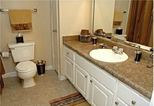 The Falls At Highpoint Apartment Bathroom