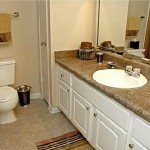 The Falls At Highpoint Apartment Bathroom