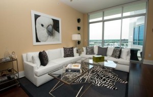 The Heights At Park Lane Tower Apartment Living Room