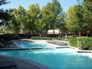 4343 at the Parkway Apartment Pool
