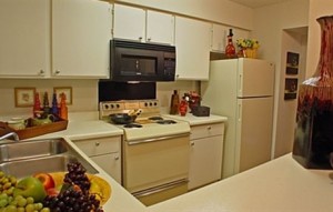 Bear Creek Apartment Kitchen.