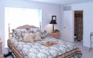 Biltmore Apartment Bedroom