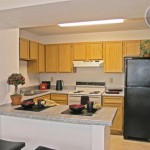 Camden Springs Apartment Kitchen