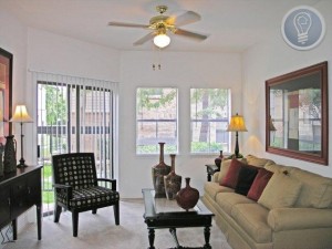 Camden Springs Apartment Living Area