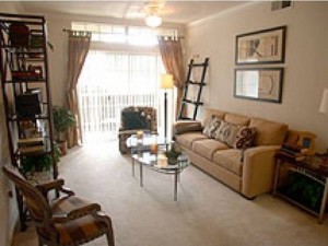 Camino Real I & II Apartments Living Room
