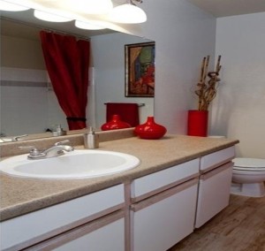Carriage Homes of Signature Place Apartment Washroom