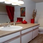 Carriage Homes of Signature Place Apartment Washroom