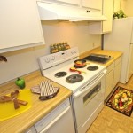 Celery Stalk Apartment Kitchen