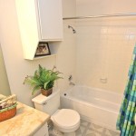 Celery Stalk Apartment Washroom