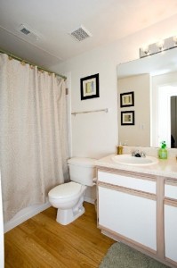 Estates on Frankford Apartment Bathroom