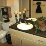 Idlewyld Village Apartment Bathroom