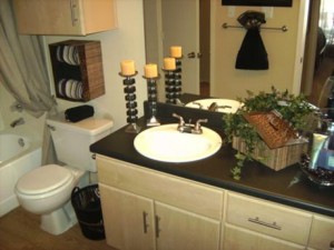 Idlewyld Village Apartment Bathroom