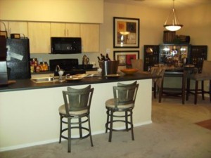 Idlewyld Village Apartment Kitchen