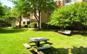 Kensington Square I & II Apartment Garden View