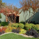 Preston Creek Apartment Property Ground