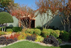 Preston Creek Apartment Property Ground