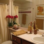 St. Moritz Apartment Bath Room