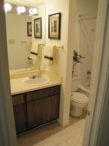 Sutton Place Apartment Bathroom