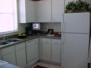 The Brazos Apartment Kitchen