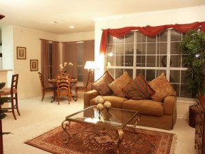The Brazos Apartment Living Room