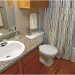 The Manhattan Apartment Bathroom