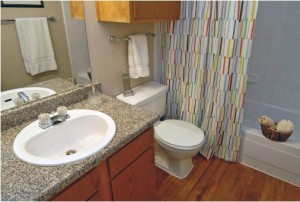 The Manhattan Apartment Bathroom