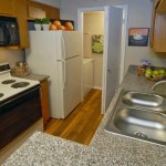 The Manhattan Apartment Kitchen