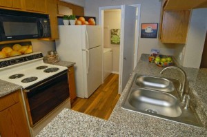 The Manhattan Apartment Kitchen
