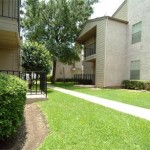 Ventana Apartment Property Ground.