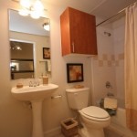 Village on the Green Apartment Bathroom