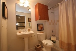 Village on the Green Apartment Bathroom