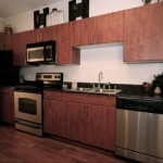 Village on the Green Apartment Kitchen.