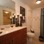 Village on the Green Apartment Master Bathroom