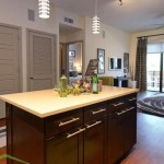 Alta Henderson Apartment Kitchen
