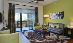 Alta Henderson Apartment Living Room