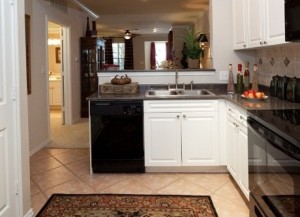 Caruth At Lincoln Park Apartment Kitchen