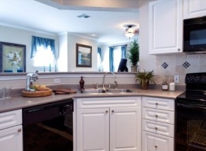 Caruth At Lincoln Park Apartment Kitchen.