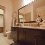 Eon at Maple Apartment Bathroom