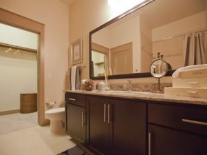 Eon at Maple Apartment Bathroom