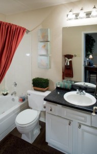 Lakewood on the Trail Apartment Bathroom
