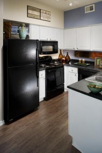 Lakewood on the Trail Apartment Kitchen
