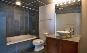 Lofts at Mockingbird Station Apartment Bath Room