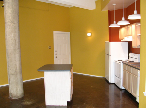 Magnolia Station Apartment Kitchen