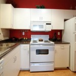Marquis on Gaston Apartment Kitchen